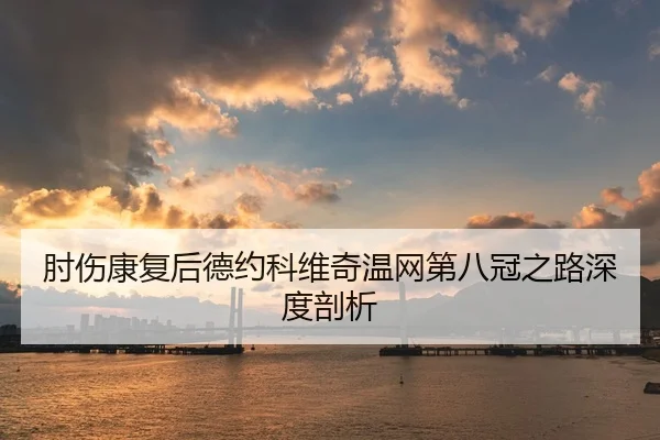肘伤康复后德约科维奇温网第八冠之路深度剖析 - Leyu